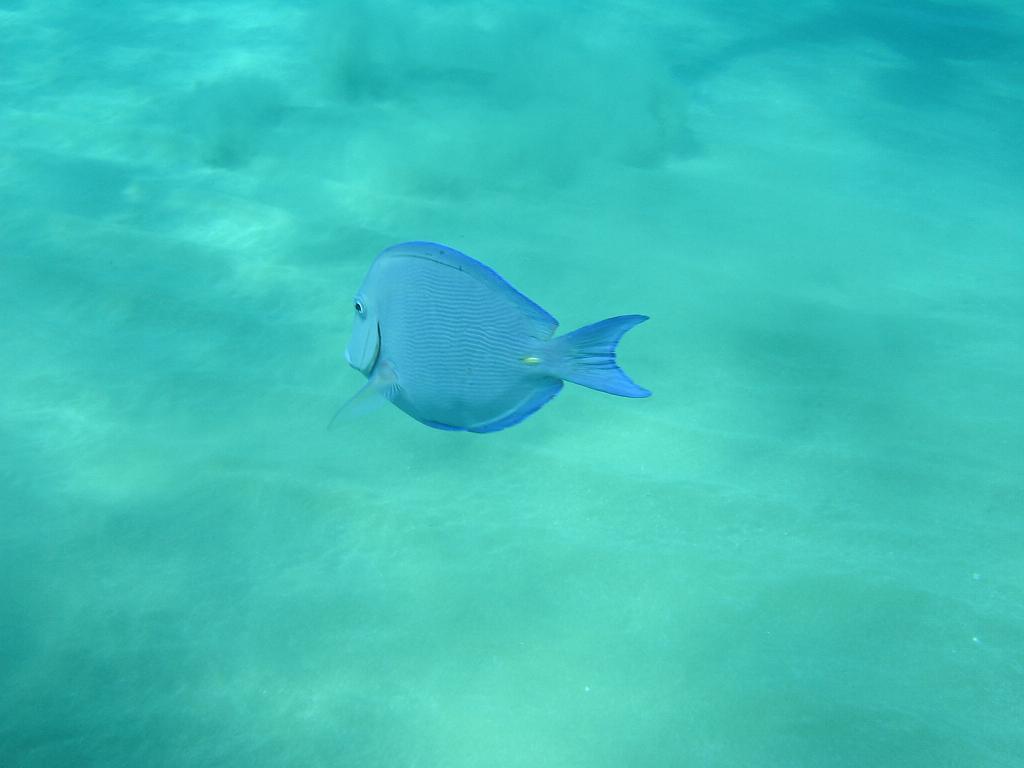 2008-05-12 16-24-23.JPG